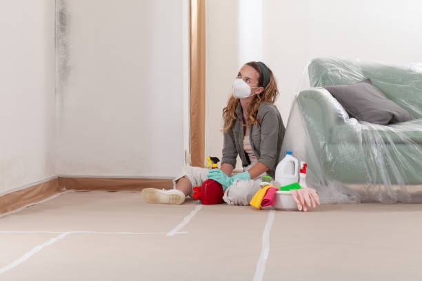 Reliable Basement Mold Remediation contractor in Coltons Point, MD by WQB Mold Removal